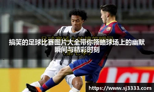 雷火电竞官方网站入口