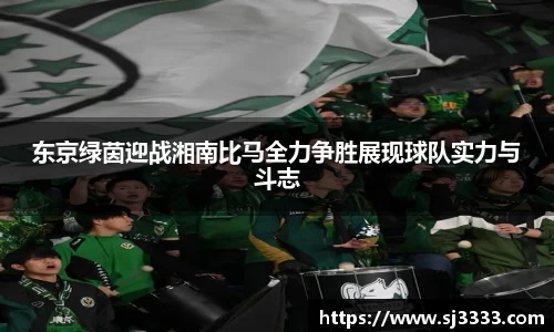 雷火亚洲电竞平台