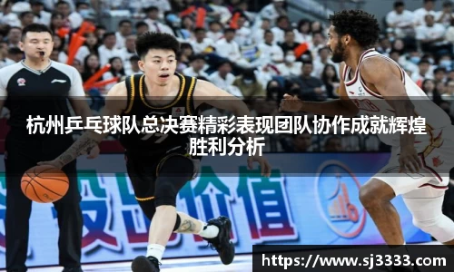 雷火电竞官方网站入口