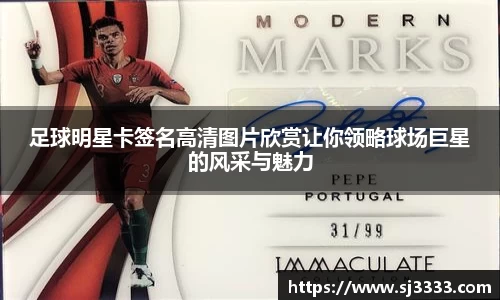 雷火电竞官方网站入口