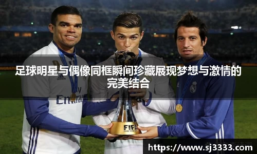 雷火电竞官方网站入口